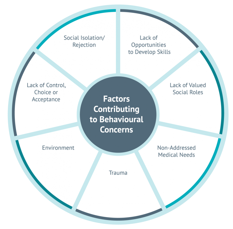 Factors Contributing to Behavioural Concerns - Valor & Solutions